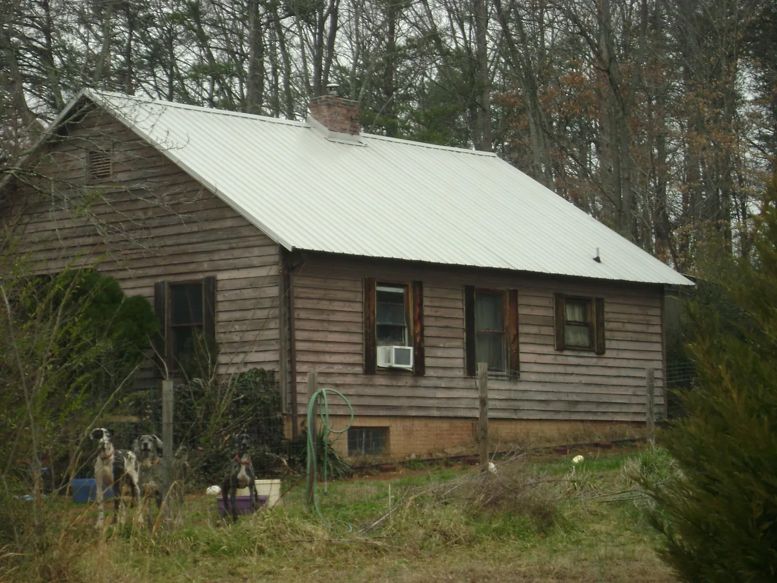 White metal roof on an old wood sided farmhouse, from a Asphalt Shingle Roof Repair job in Brookville